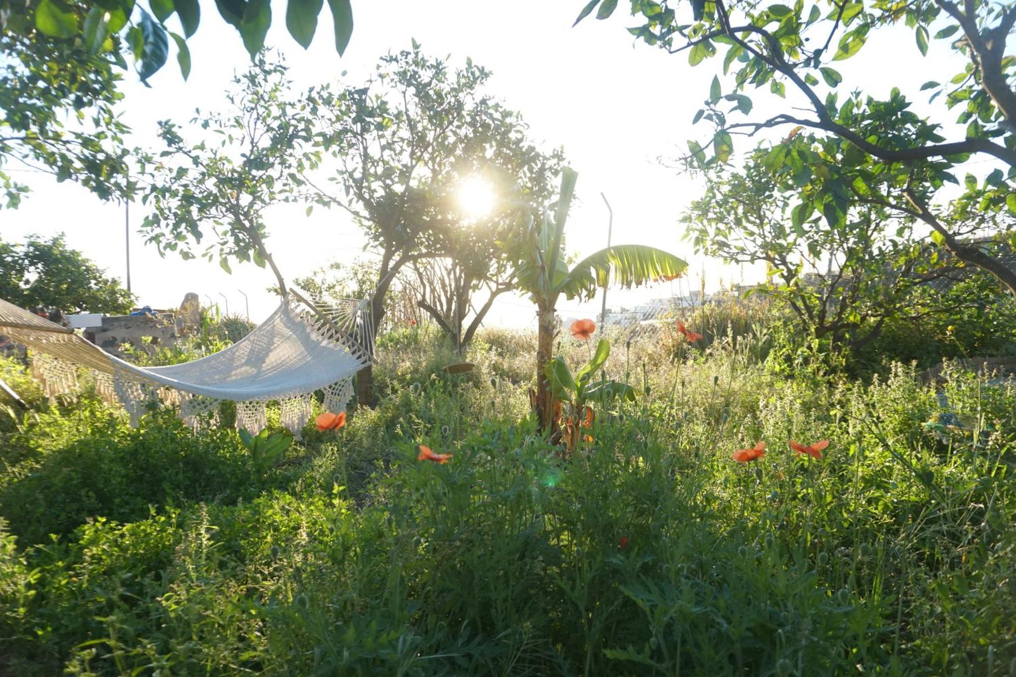Biofinca Casa El Riego Güimar Buitenkant foto