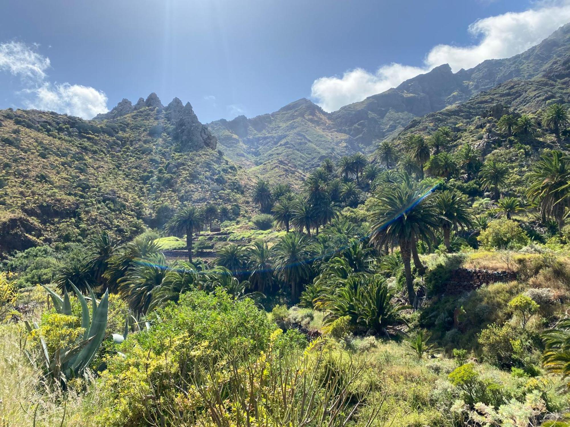 Biofinca Casa El Riego Güimar Buitenkant foto