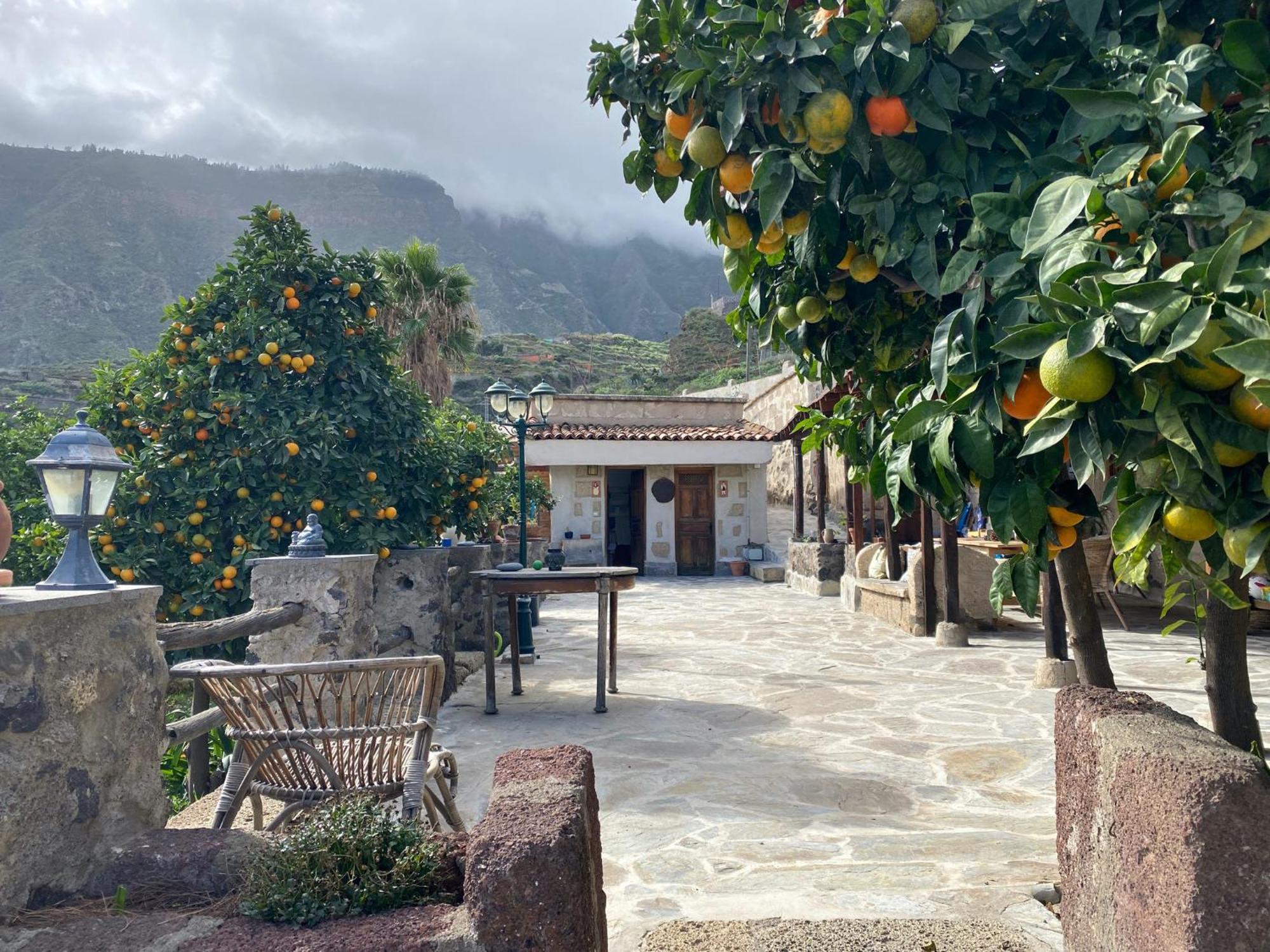 Biofinca Casa El Riego Güimar Buitenkant foto